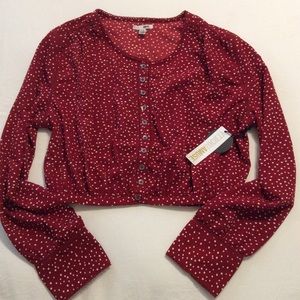 Amuse Society top